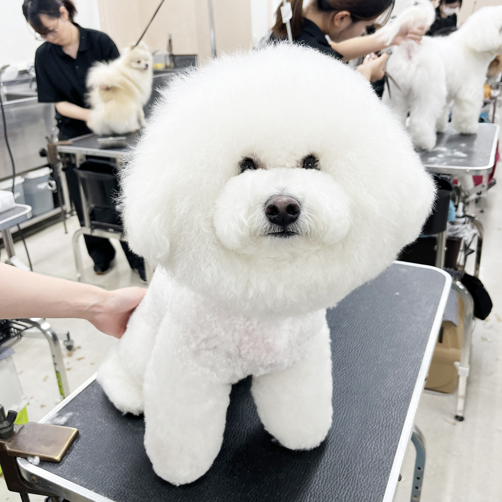 毎日がんばっています！